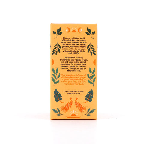Hampstead Tea BIO Organic Lemon Ginger 20 Teebeutel Bild 4