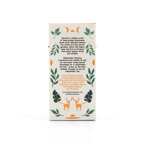Hampstead Tea BIO Organic Zesty Ginger Green Tea 20 Teebeutel Bild 4